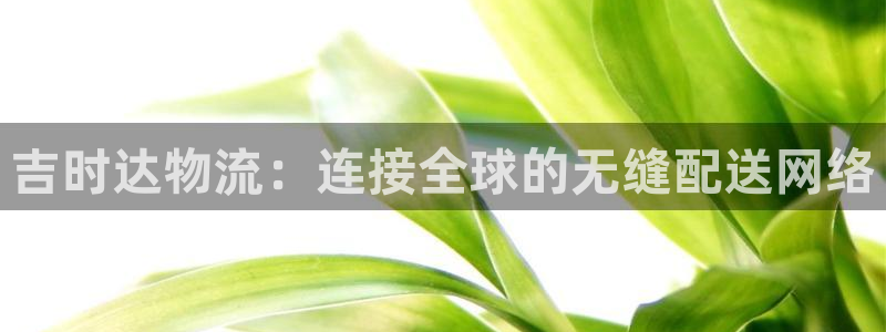 多多28加拿大6.0