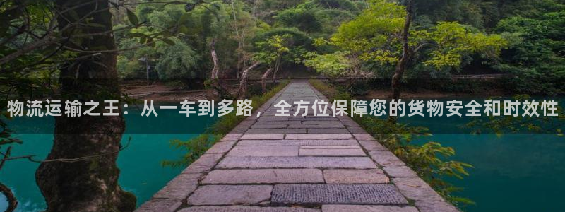 多多28怎么注册下载：物流运输之王：