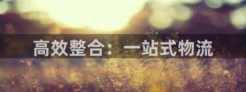 多多28链接：高效整合：一站式物流