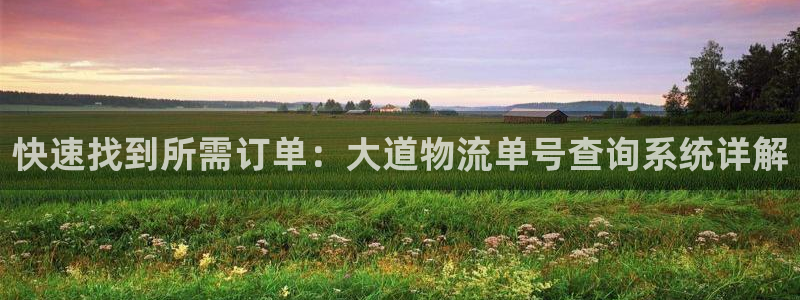 多多28可靠吗：快速找到所需订单：大