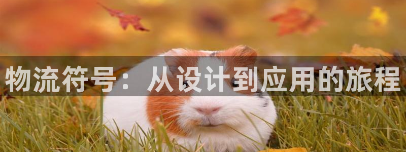 多多28p扣除：物流符号：从设计到应