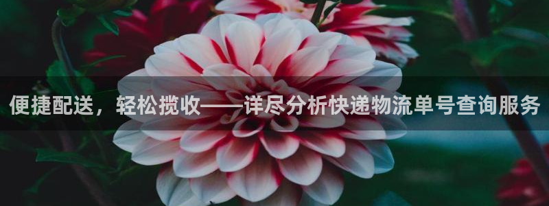多多28黑吗：便捷配送，轻松揽收——