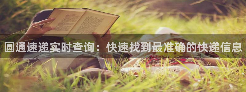 多多28注册登录链接：圆通速递实时查