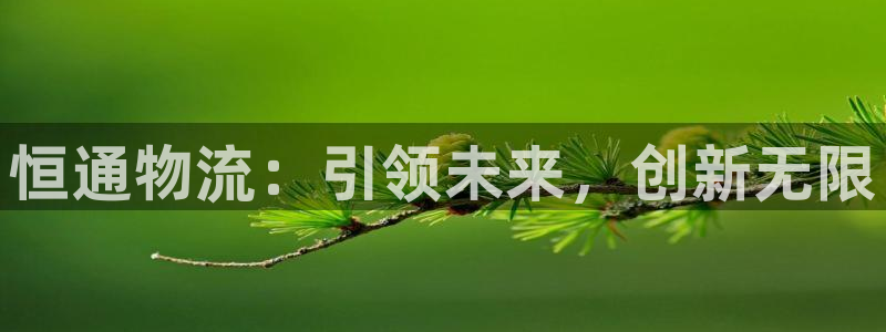 多多28充值为什么充不了：恒通物流：