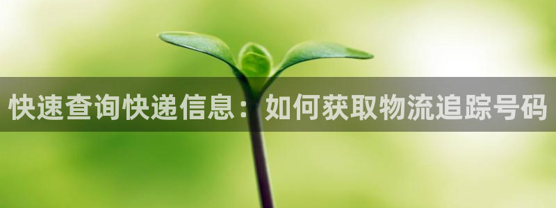 多多28网站怎么注册：快速查询快递信