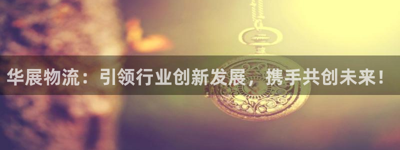 多多28模拟器：华展物流：引领行业创