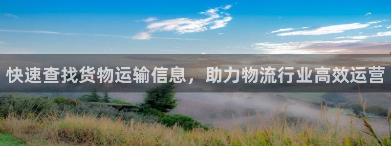 多多28p扣除：快速查找货物运输信息