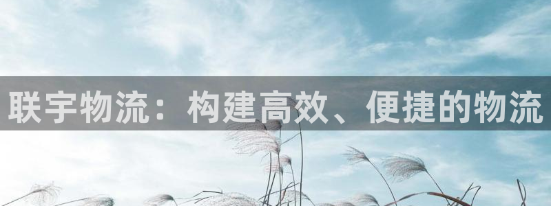 多多28是南宫旗下的吗：联宇物流：构
