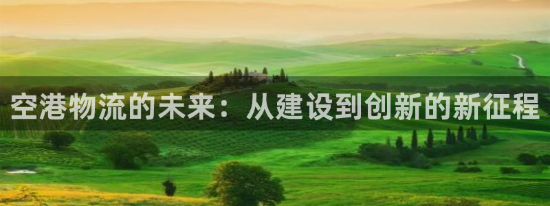 多多28黑吗：空港物流的未来：从建设