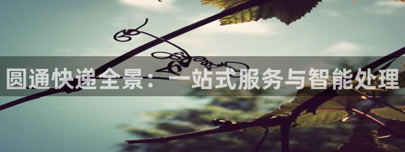 多多28开奖预测：圆通快递全景：一站式服务与智能处理