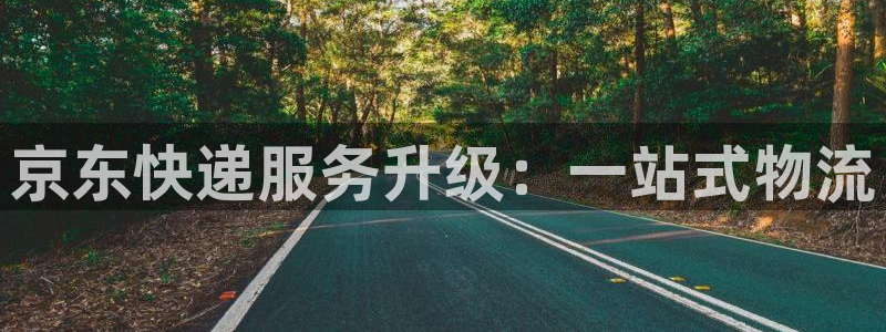 多多28网站怎么注册：京东快递服务升