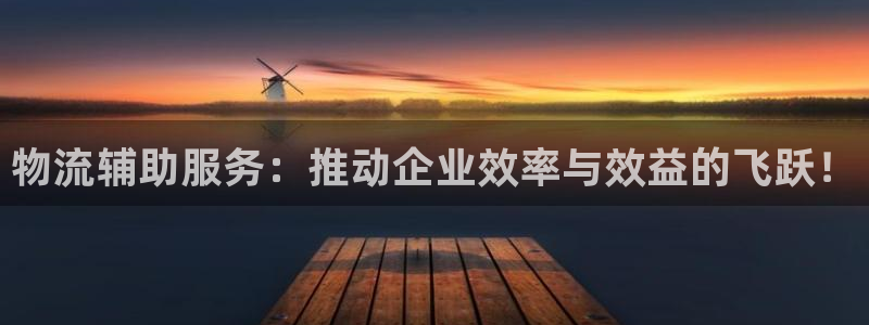 多多28p扣除是什么意思：物流辅助服