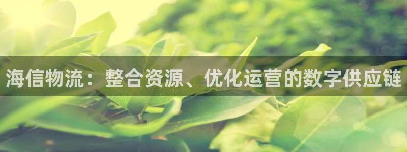 多多28官方官网版：海信物流：整合资