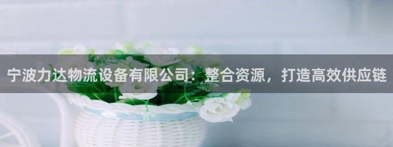 多多28如何看012路计划：宁波力达