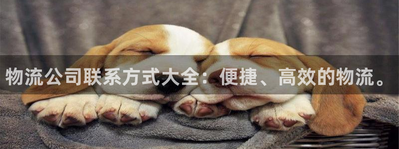 多多28模拟