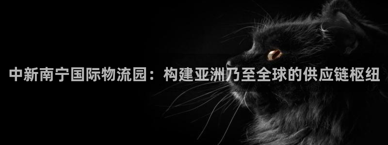 多多28登陆网:中新南宁国际物流园: