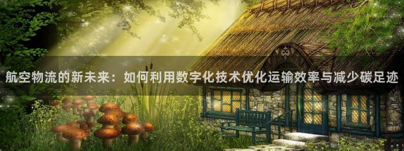 多多28充值不到账怎么办：航空物流的