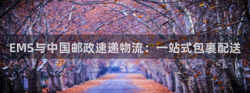 多多28登录用户名登录不上：EMS与