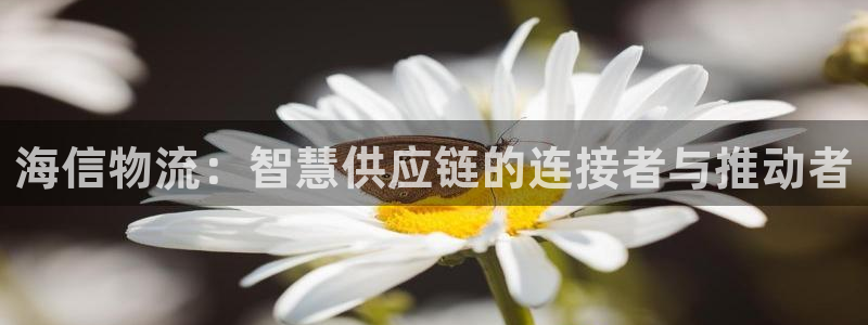 多多28加拿大预测：海信物流：智慧供