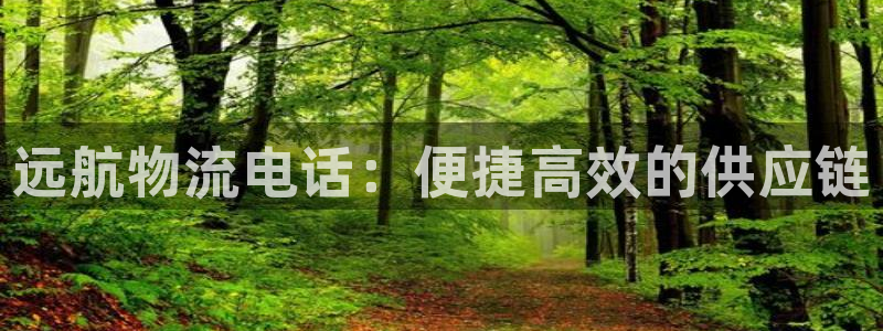 多多28不给提现：远航物流电话：便捷