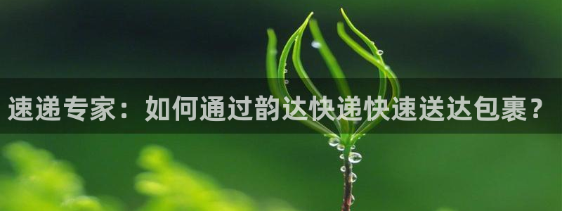 多多28官网下载链接：速递专家：如何