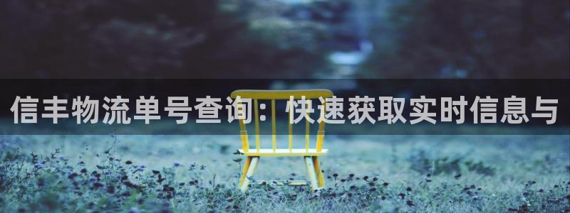 多多28能赢钱吗：信丰物流单号查询：