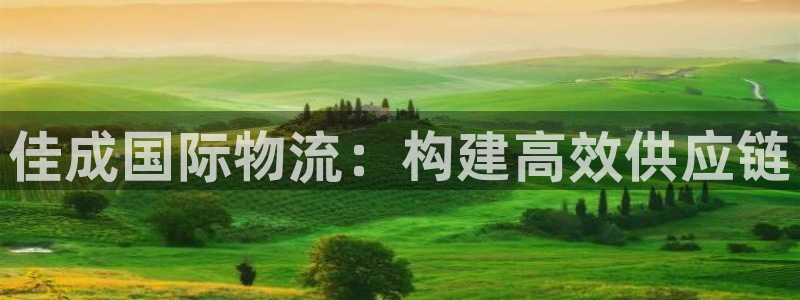 多多28下载体育