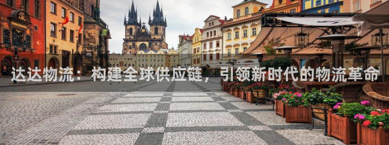 多多28起来的符号：达达物流：构建全