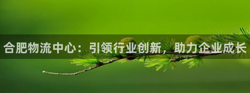 多多28黑款：合肥物流中心：引领行业创新，助力企业成长