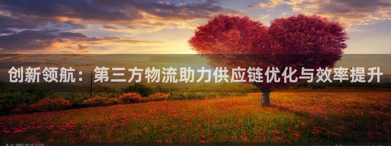 多多28注册送：创新领航：第三方物流助力供应链优化与效率提升