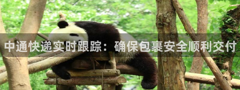 多多28app怎么注销：中通快递实时跟踪：确保包裹安全顺利交